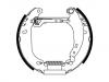 刹车蹄片 Brake Shoe Set:4241.8J