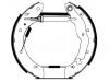 Brake Shoe Set Brake Shoe Set:77 01 205 307