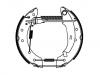 Brake Shoe Set Brake Shoe Set:4241.9F