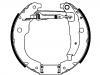 Kit mâchoire de frein Brake Shoe Set:4242.19